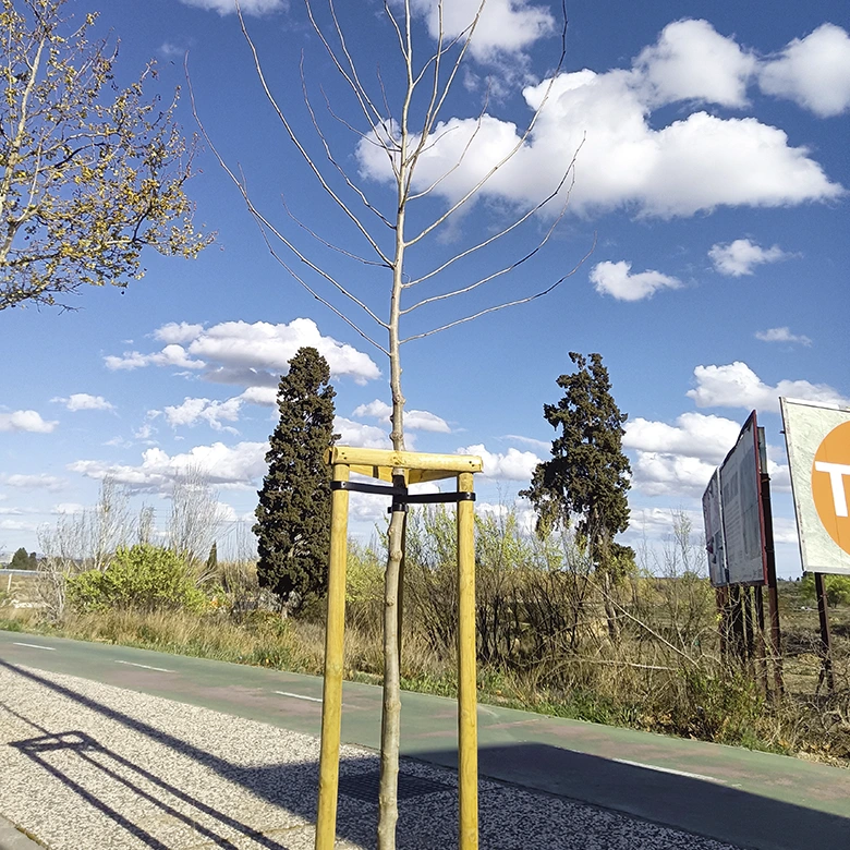 piquetes de madera protectoras de árbol